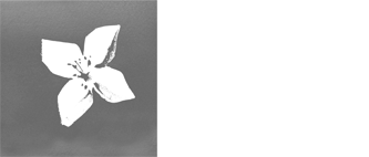 Banco BPI